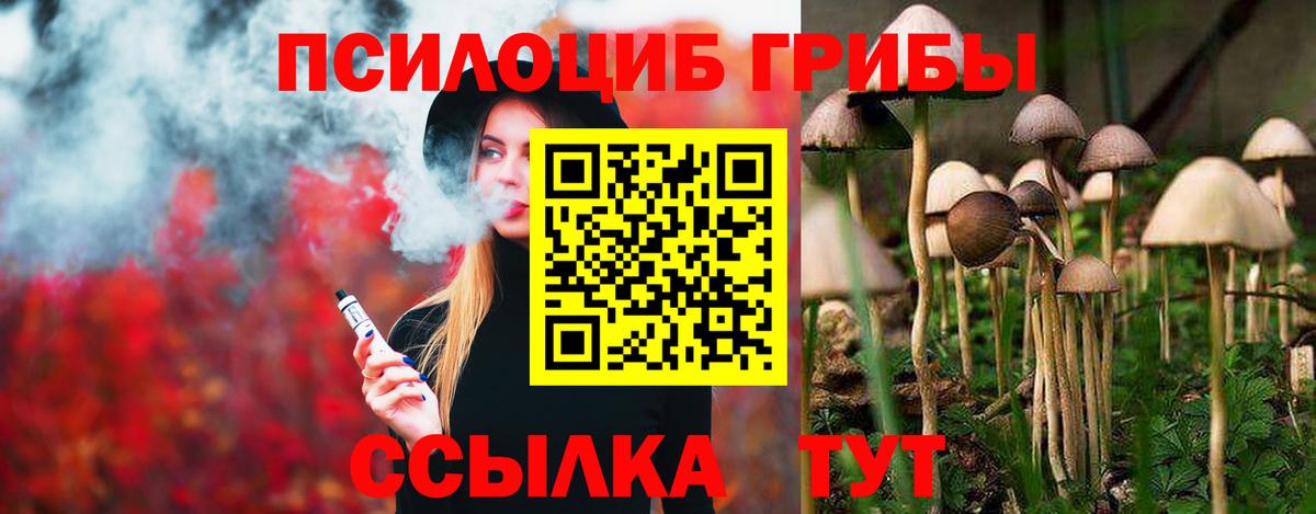 Псилоцибиновые грибы мухоморы Невинномысск