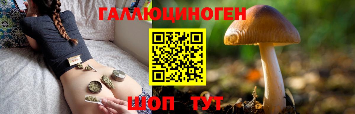 Невинномысск  Псилоцибиновые грибы Psilocybe  Галлюциногенные грибы GOLDEN TEACHER  Вход с VPN 
